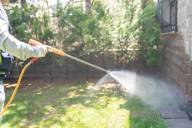 Reliable Houghton, NY Pest control Solutions